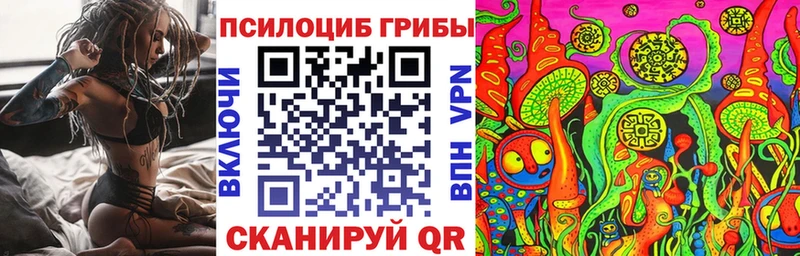Галлюциногенные грибы Cubensis Севастополь